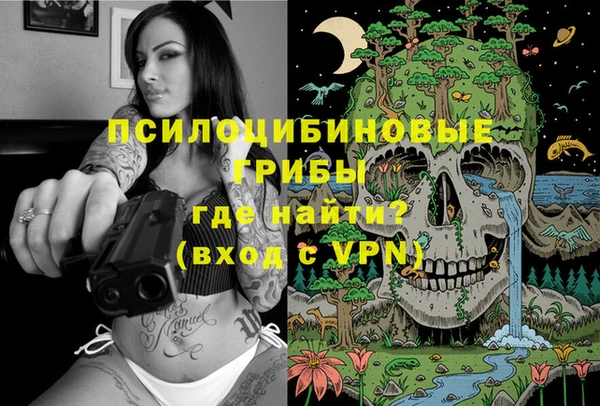 прущие крисы Алексеевка
