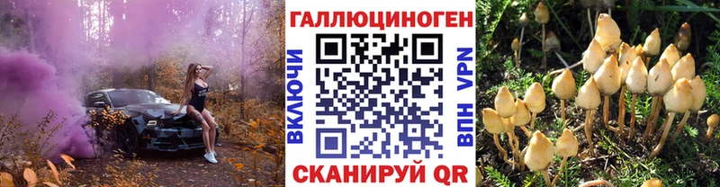 Псилоцибиновые грибы прущие грибы  MEGA вход  Устюжна 